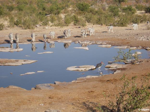 Namibia