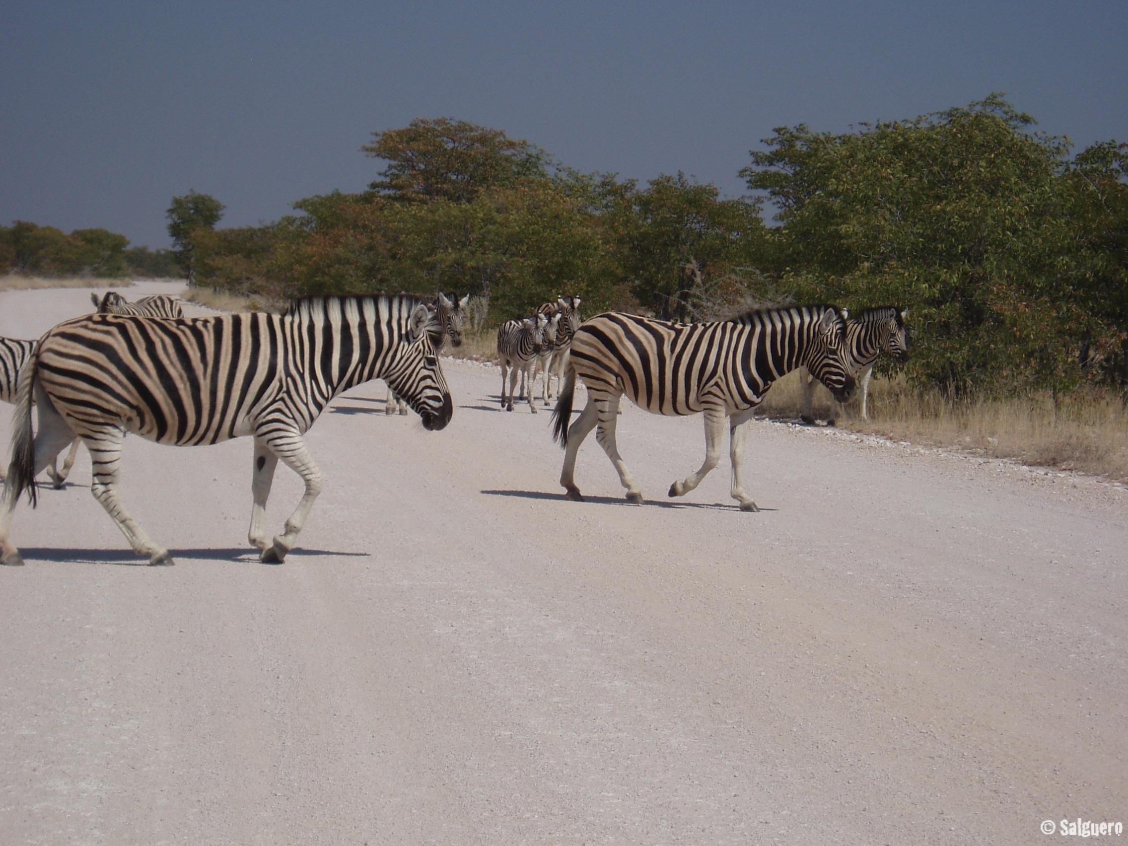 Namibia