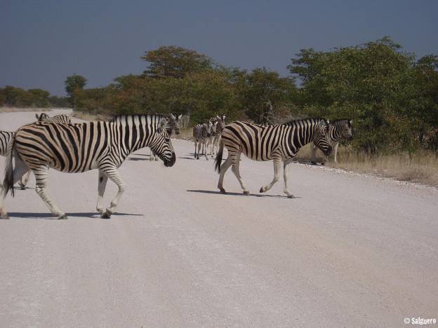 Namibia