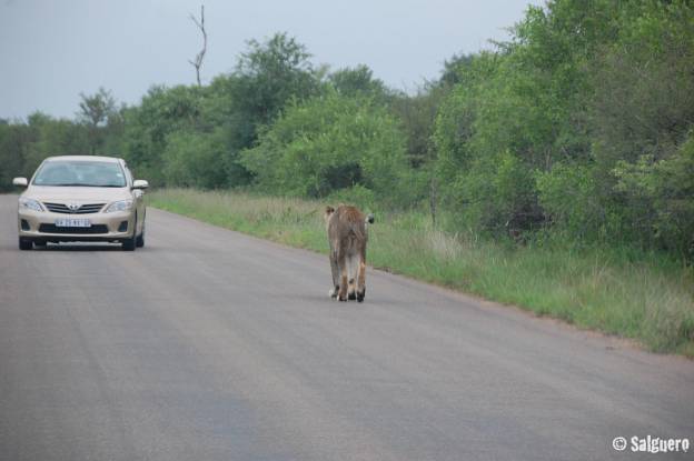 Südafrika