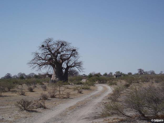 Botswana