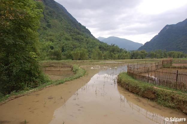 Vietnam
