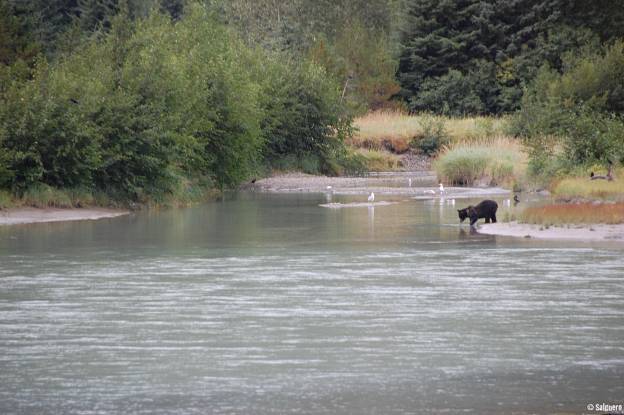 Alaska