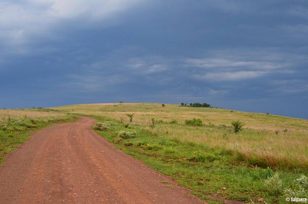 Südafrika