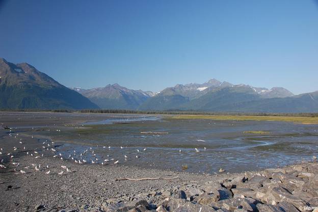 Alaska