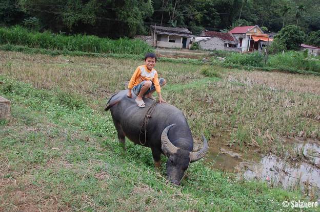Vietnam