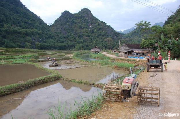 Vietnam