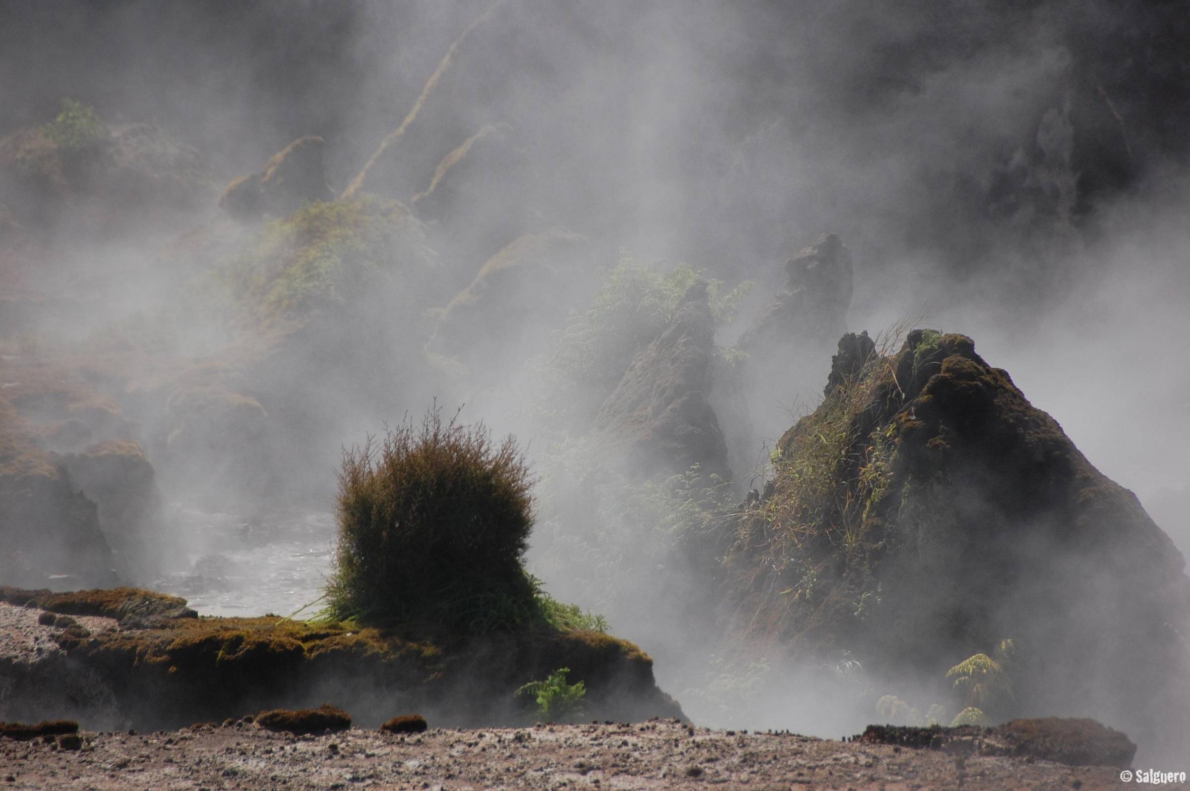 Neuseeland