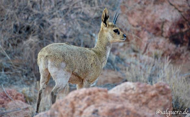 Namibia