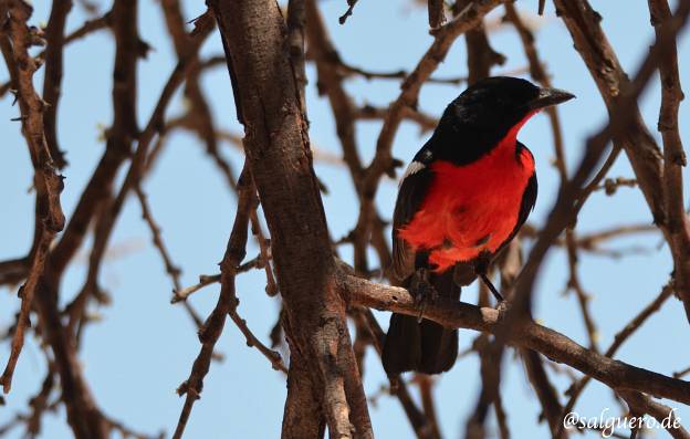 Botswana