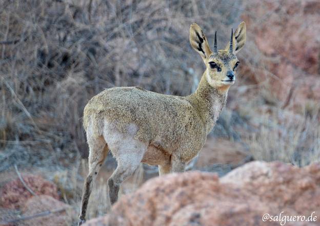 Namibia