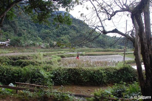 Vietnam
