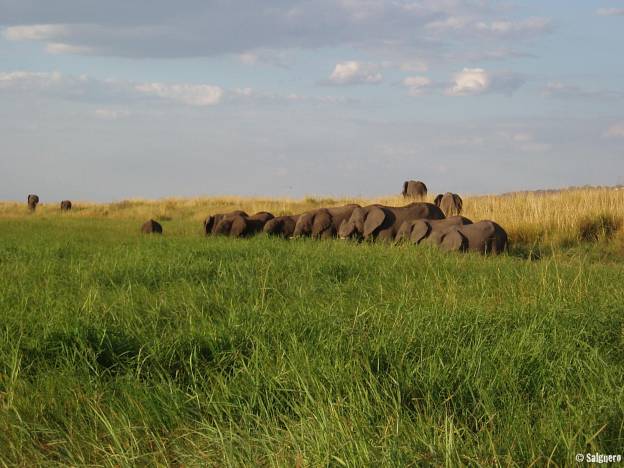 Botswana