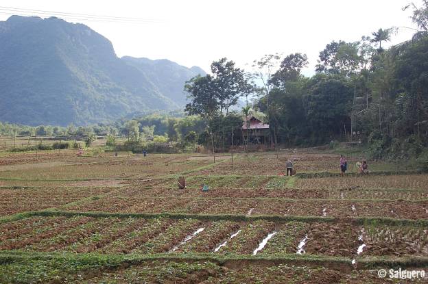 Vietnam
