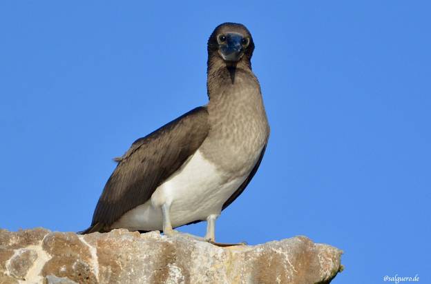 Ecuador