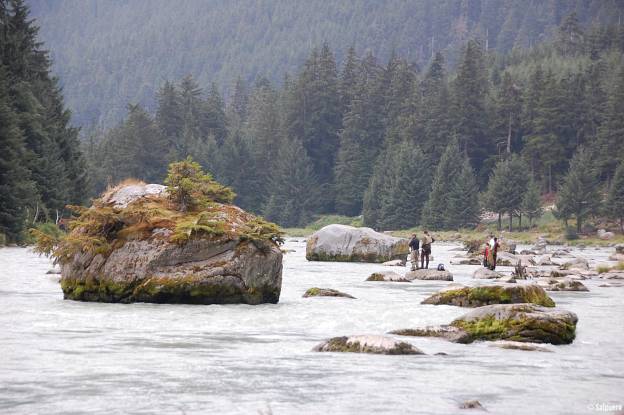 Alaska