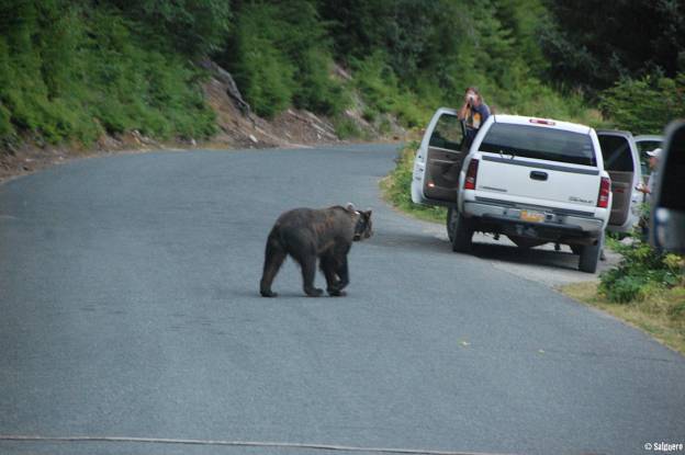 Alaska
