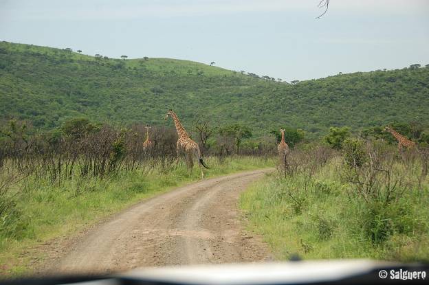 Südafrika