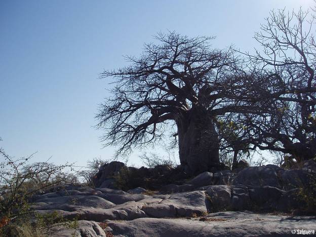 Botswana
