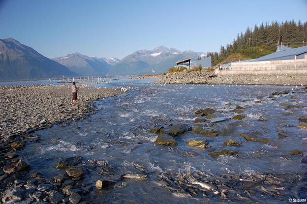 Alaska