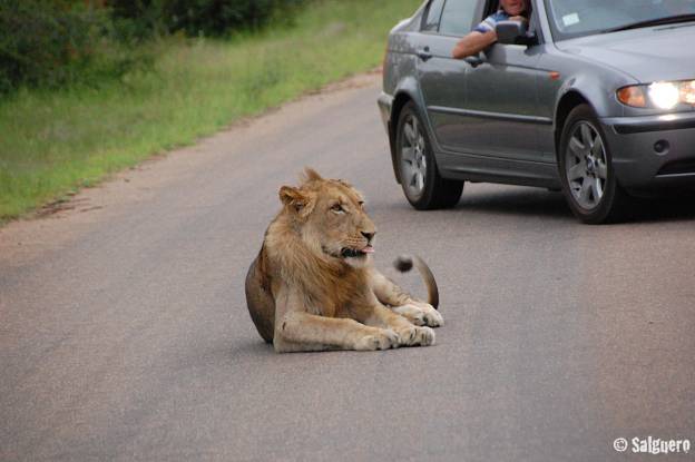 Südafrika