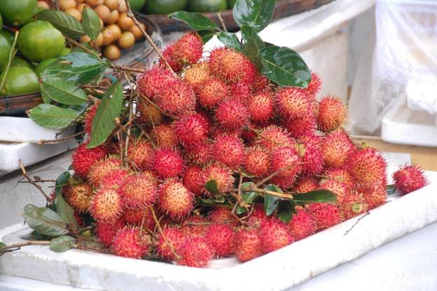 Vietnam