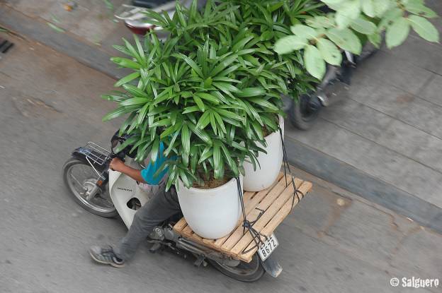 Vietnam