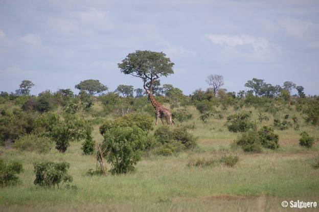 Südafrika