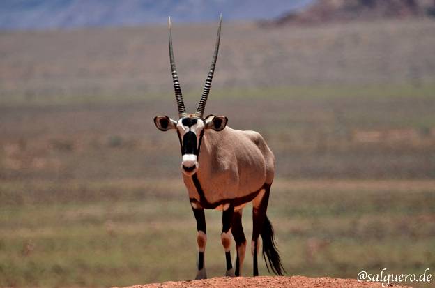 Namibia
