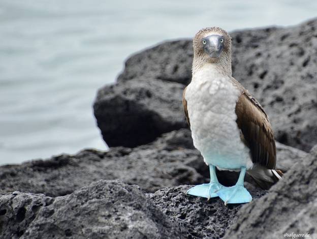 Ecuador
