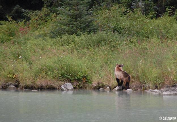 Alaska