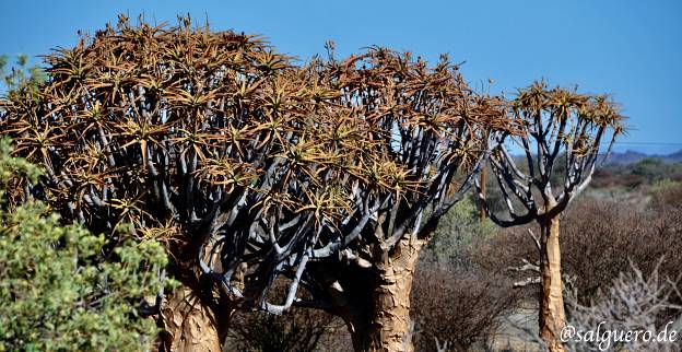 Namibia