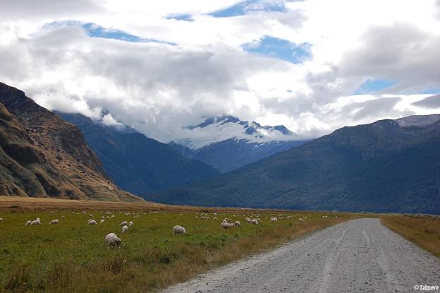 Neuseeland