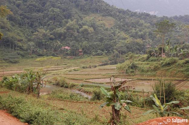 Vietnam