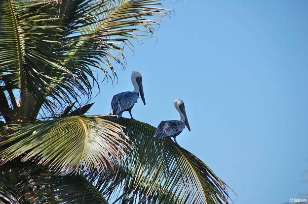 Belize