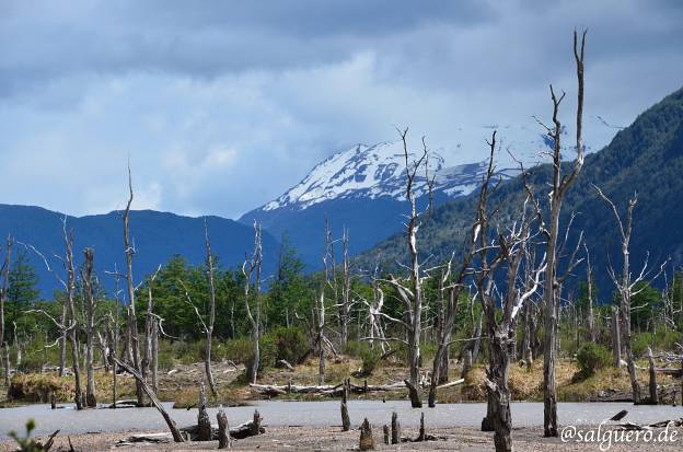 Chile