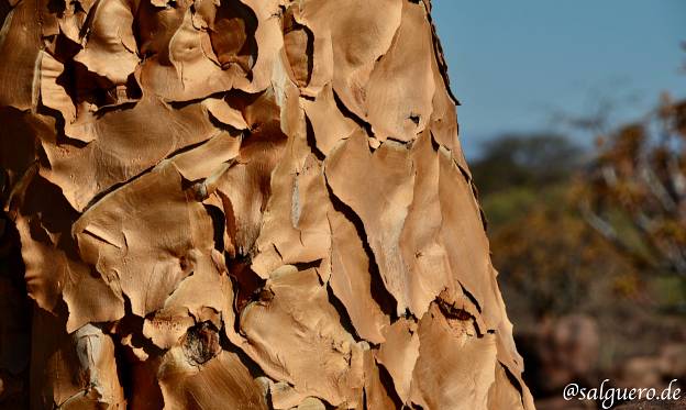 Namibia