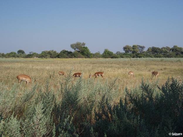 Botswana
