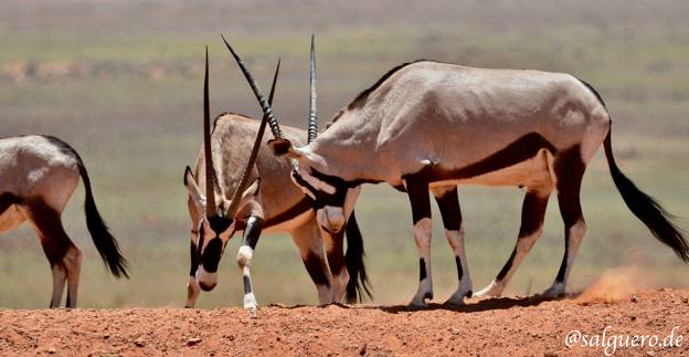Namibia