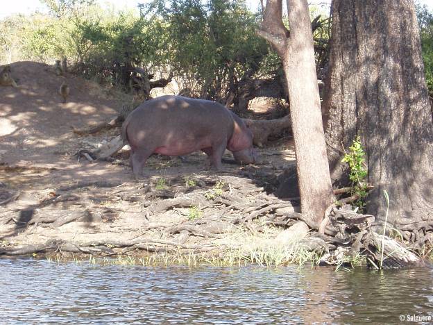 Botswana
