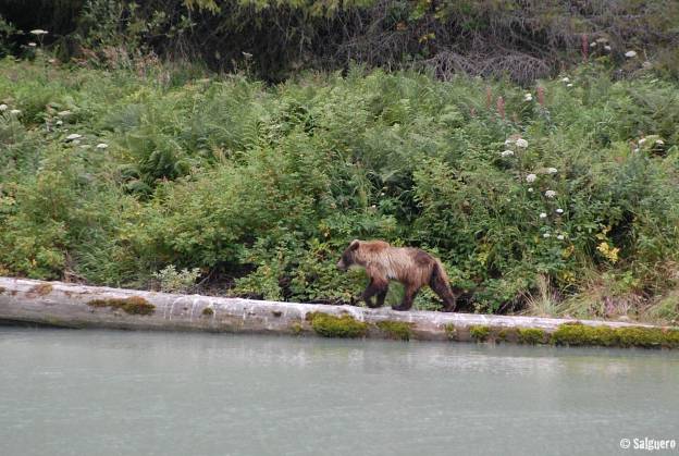Alaska