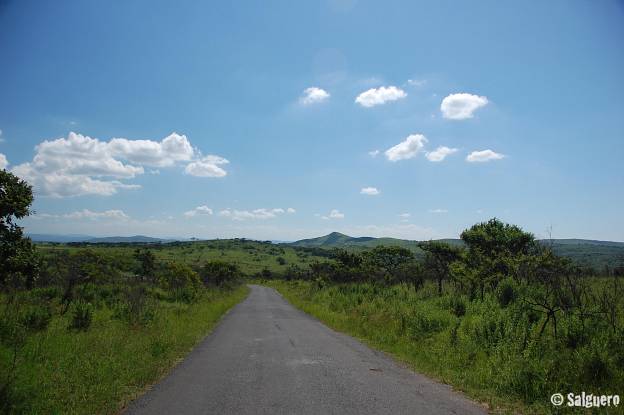 Südafrika