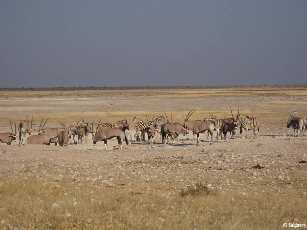 Namibia