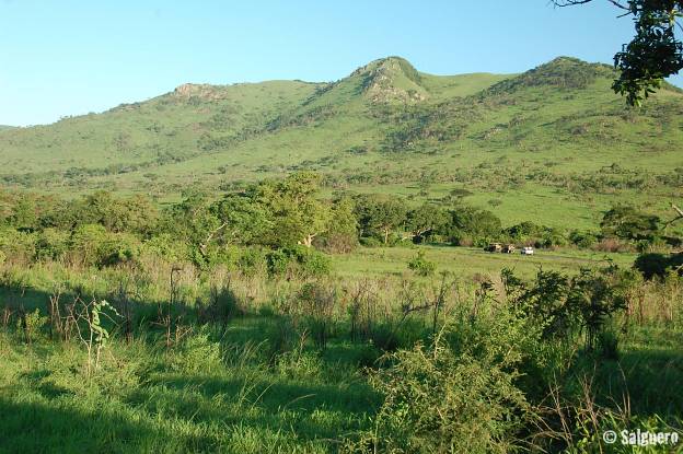 Südafrika