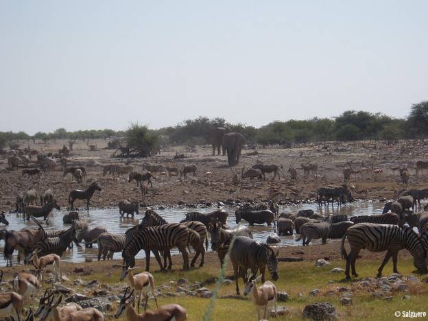Namibia