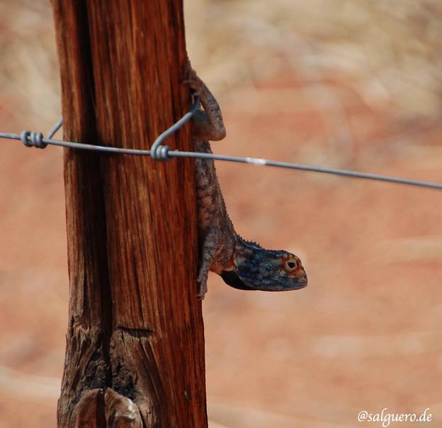 Namibia
