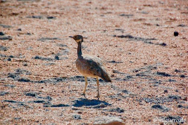 Namibia