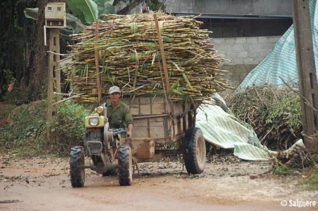Vietnam