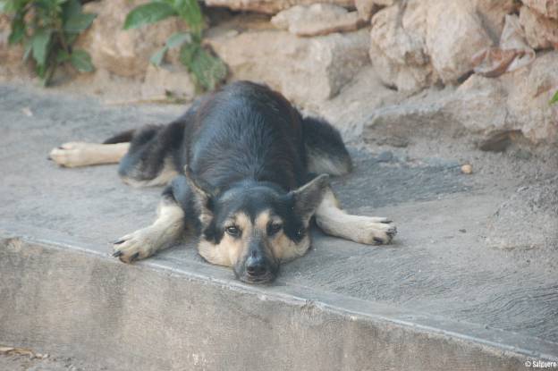 Mexiko