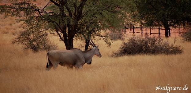Namibia